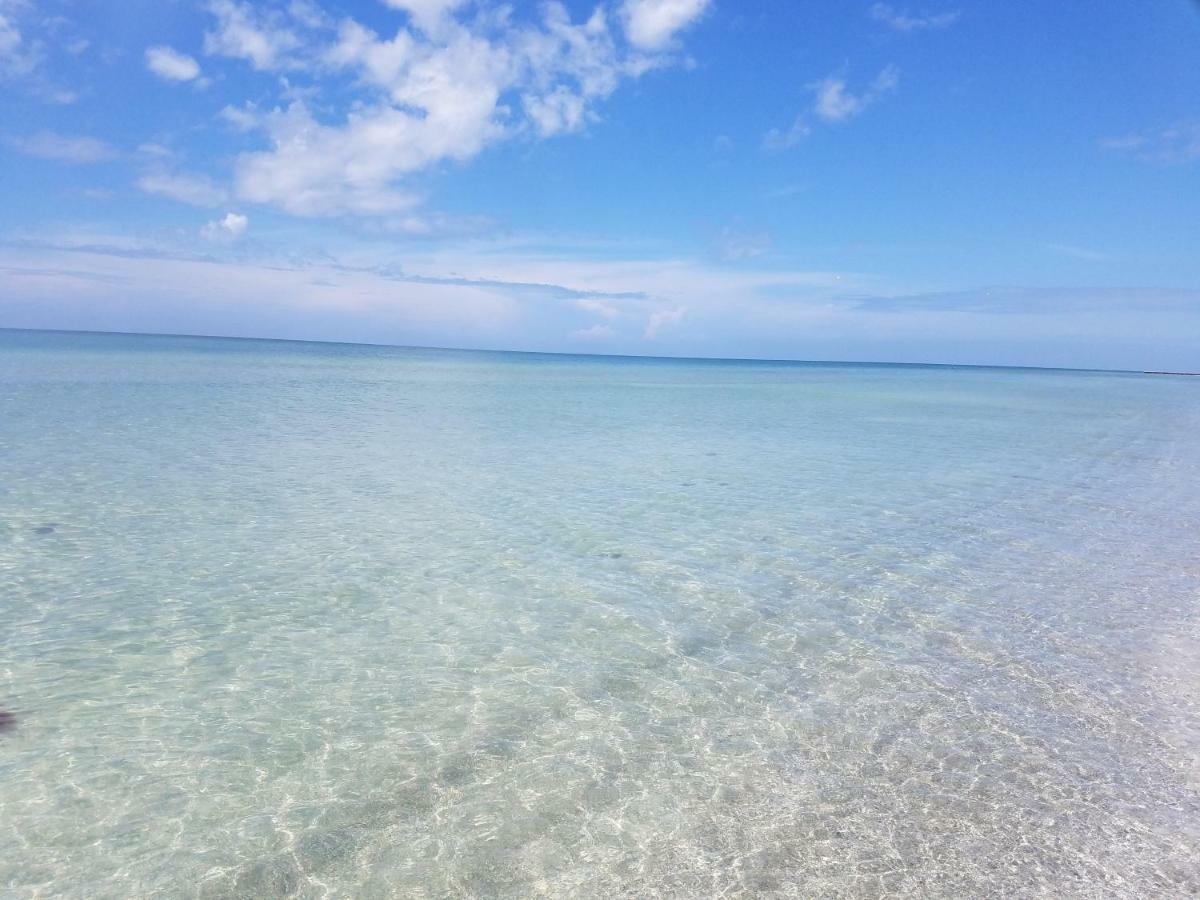 Amazing Panoramic Beach View And The Most Beautiful Sunset Longboat Key Kültér fotó